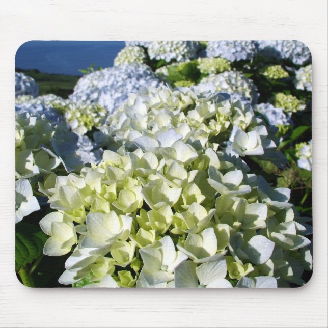 Tapis De Souris Hortensias (Devant)