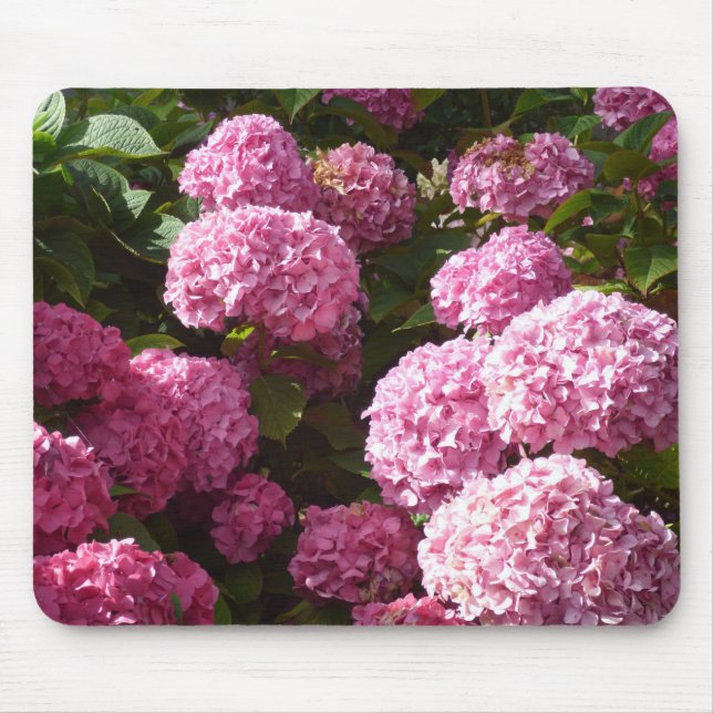 Tapis De Souris Hortensias roses (Devant)