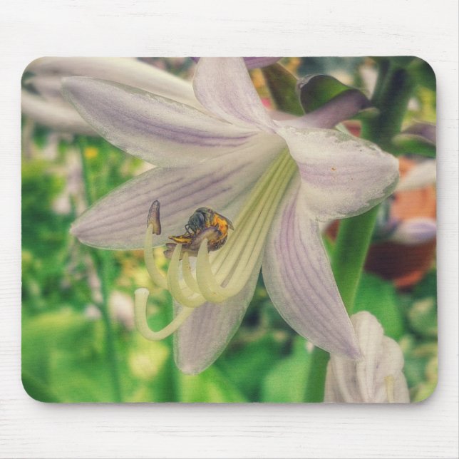 Tapis De Souris Hosta et abeille (Devant)