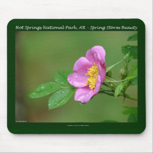 Tapis De Souris Hot Springs National Park, AR Cadeaux Wild Rose