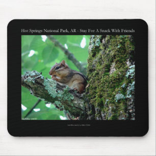 Tapis De Souris Hot Springs National Park, AR Chipmunk Snack Gifts