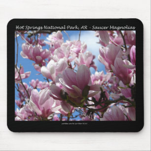 Tapis De Souris Hot Springs National Park AR Saucer Magnoia Cadeau