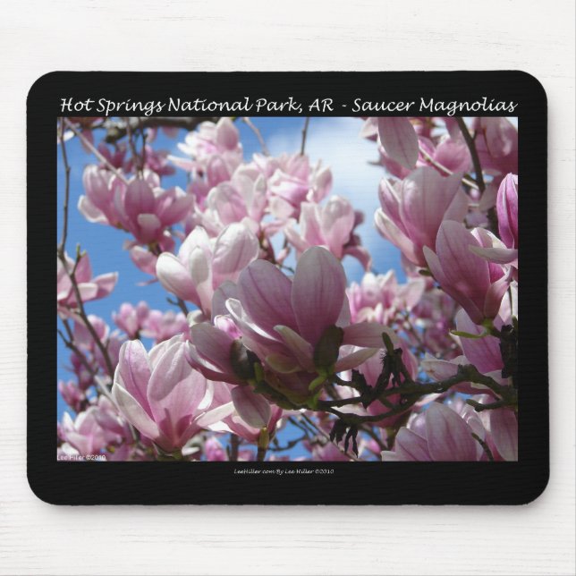 Tapis De Souris Hot Springs National Park AR Saucer Magnoia Cadeau (Devant)