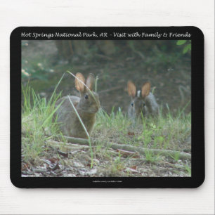 Tapis De Souris Hot Springs National Park, AR Wild Rabbits Cadeaux