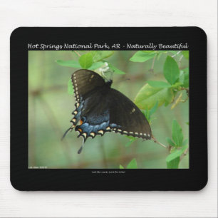 Tapis De Souris Hot Springs National Park Swallowtail Butterfly