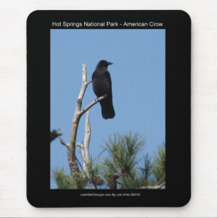Tapis De Souris Hots Springs National Park, AR - American Crow