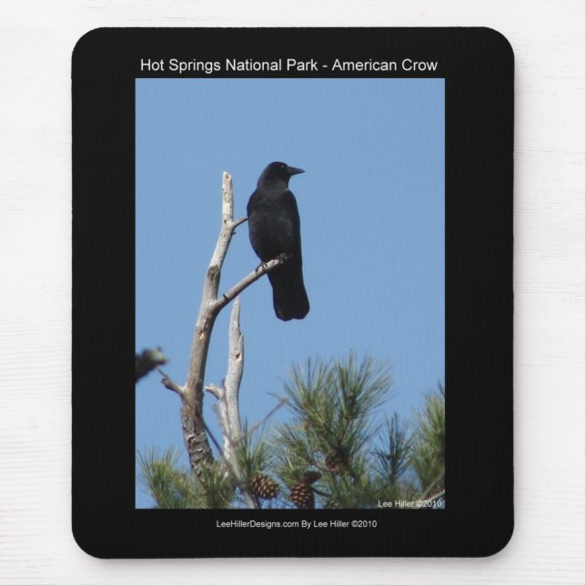 Tapis De Souris Hots Springs National Park, AR - American Crow (Devant)