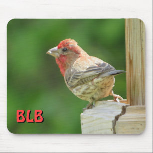 Tapis De Souris House Finch avec vos initiales