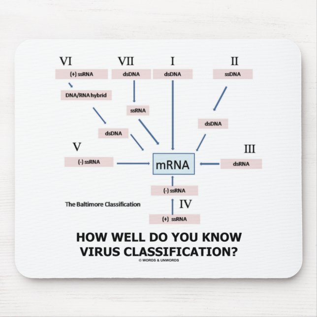 Tapis De Souris How Well Do You Know Virus Classification ? (Devant)