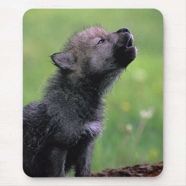 Tapis De Souris Howling Wolf Cub (Devant)