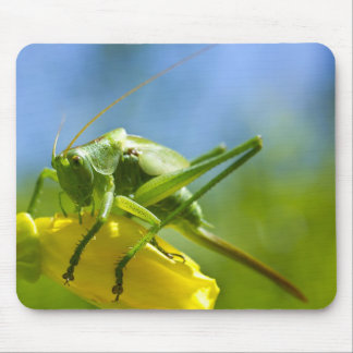 TAPIS DE SOURIS HUGO