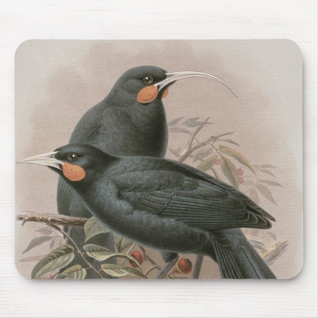 Tapis De Souris Huia (Devant)