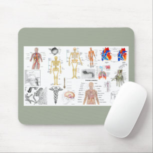 Tapis De Souris Human Anatomy Charts