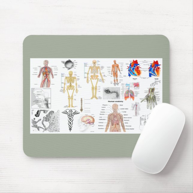 Tapis De Souris Human Anatomy Charts (Avec souris)