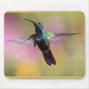 Tapis De Souris Humming Bird