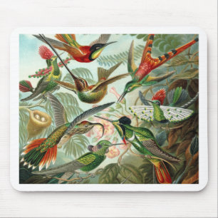 Tapis De Souris Humming Birds Paradise Art