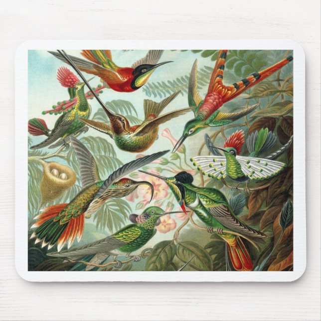 Tapis De Souris Humming Birds Paradise Art (Devant)