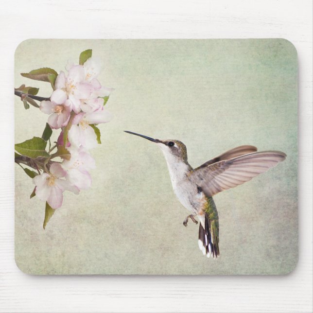 Tapis De Souris Hummingbird and spring flowers (Devant)