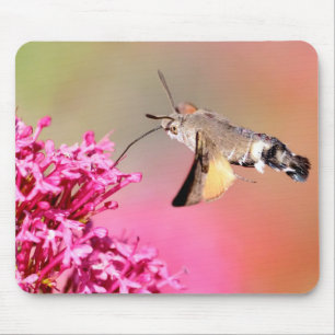 Tapis De Souris Hummingbird Hawk-moth butterfly in flight Metal 