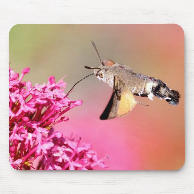 Tapis De Souris Hummingbird Hawk-moth butterfly in flight Metal  (Devant)