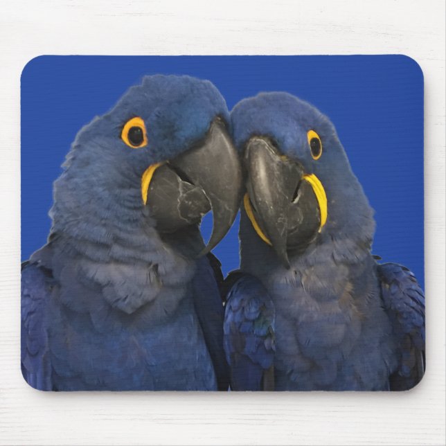 Tapis De Souris Hyacinth Macaw (Devant)