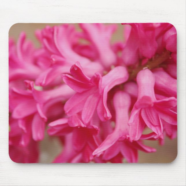 Tapis De Souris Hyacinth rose (Devant)