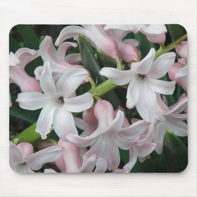 Tapis De Souris Hyacinthes Mousepad (Devant)