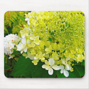 Tapis De Souris Hydrangea Limelight Vert Chartreuse Élégant