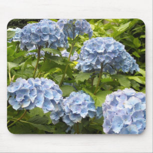 Tapis De Souris Hydrangeas aux teintes bleues