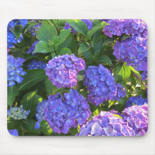 Tapis De Souris Hydrangeas bleues et violettes (Devant)