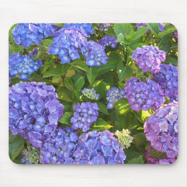 Tapis De Souris Hydrangeas bleues et violettes (Devant)