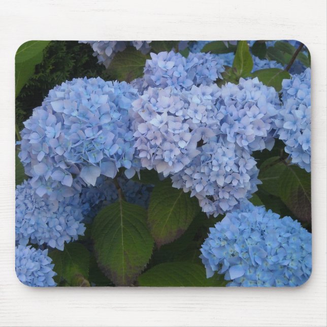 Tapis De Souris Hydrangeas Élégantes (Devant)