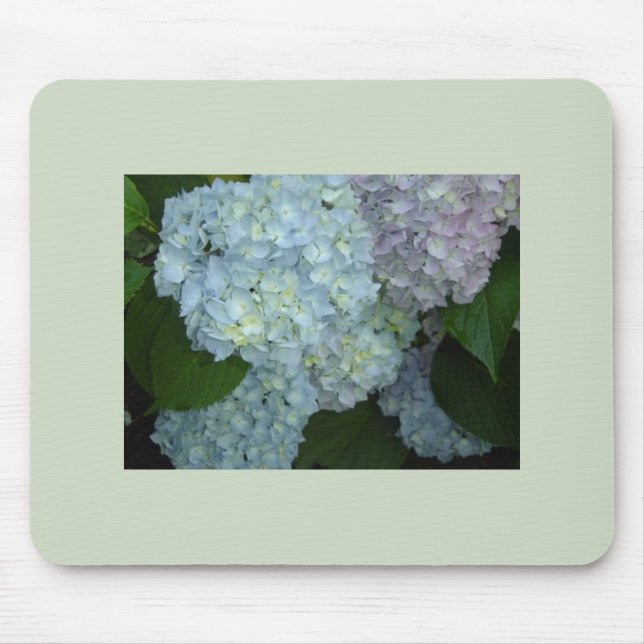 Tapis de souris Hydrangeas en fleurs (Devant)
