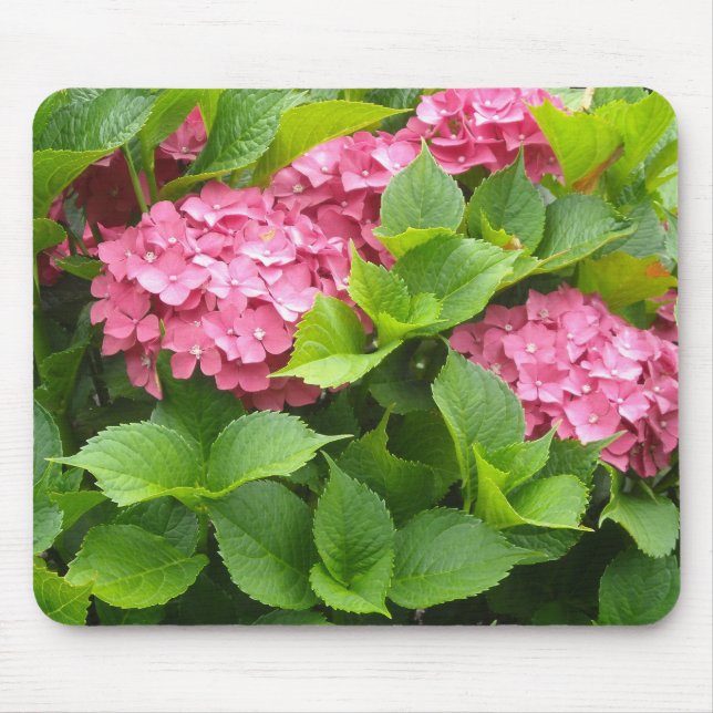 Tapis De Souris Hydrangeas Rose Foncé (Devant)