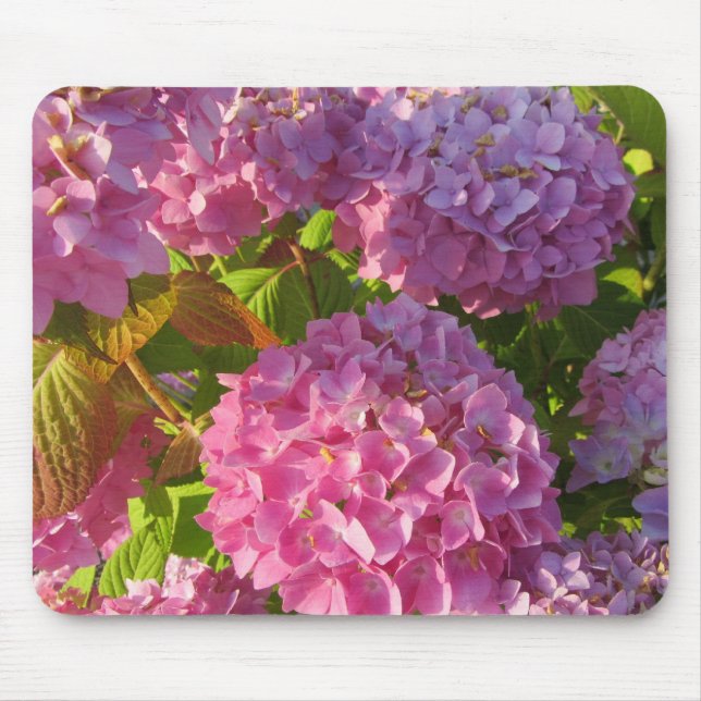 Tapis De Souris Hydrangeas roses (Devant)