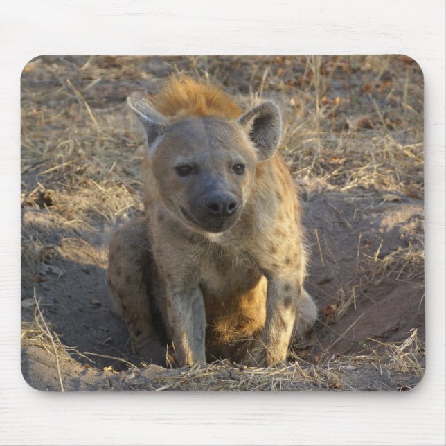 Tapis De Souris Hyène sud-africaine (Devant)