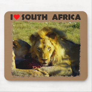 Tapis De Souris I Heart South Africa Lion Stare