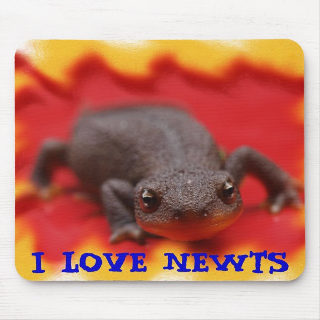 Tapis De Souris I Love Newts (Devant)