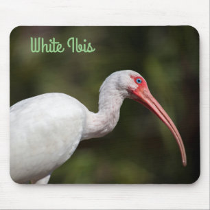 Tapis De Souris Ibis blanc