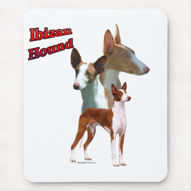 Tapis De Souris Ibizan Hound Trio 2 (Devant)