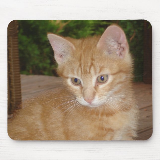 Tapis De Souris Ici, Mousey, Mousey ! (Devant)