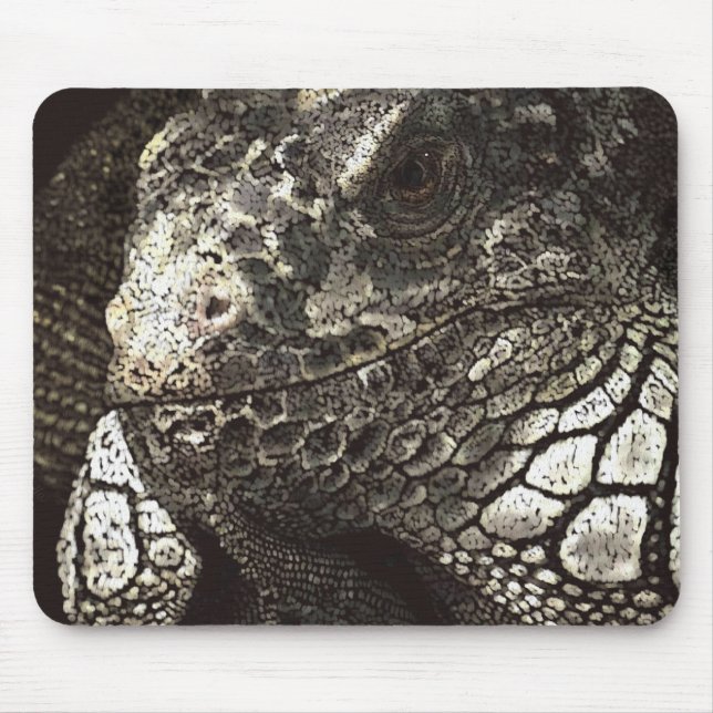 Tapis De Souris Iguana (Devant)