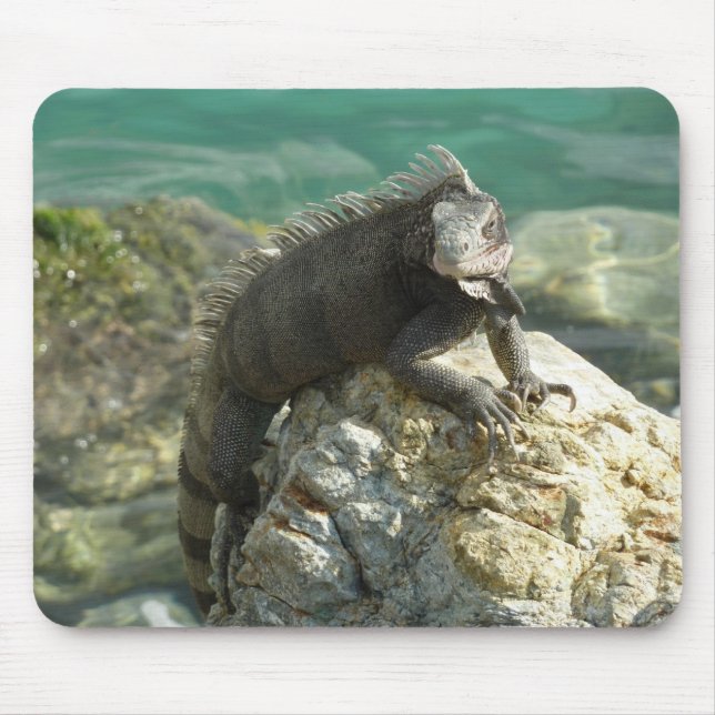 Tapis De Souris Iguana sur les rochers à St. Thomas (Devant)
