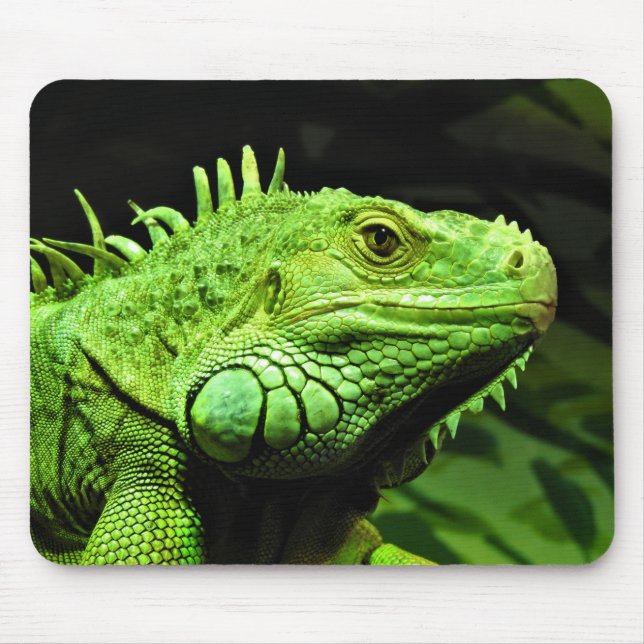 Tapis De Souris Iguana verte (Devant)