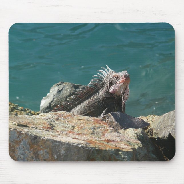 Tapis De Souris Iguane à St-Thomas (Devant)