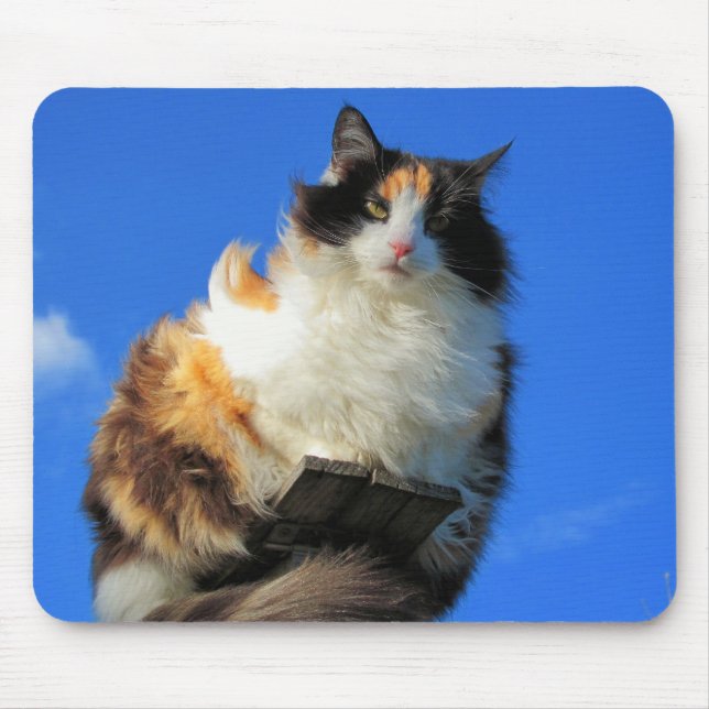 Tapis De Souris Il vente beaucoup ici (Devant)
