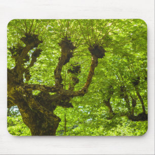 Tapis De Souris Île de Sao Miguel