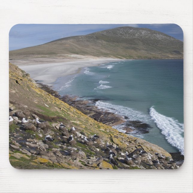 Tapis De Souris Îles Falkland, Malouines occidentales, Saunders (Devant)