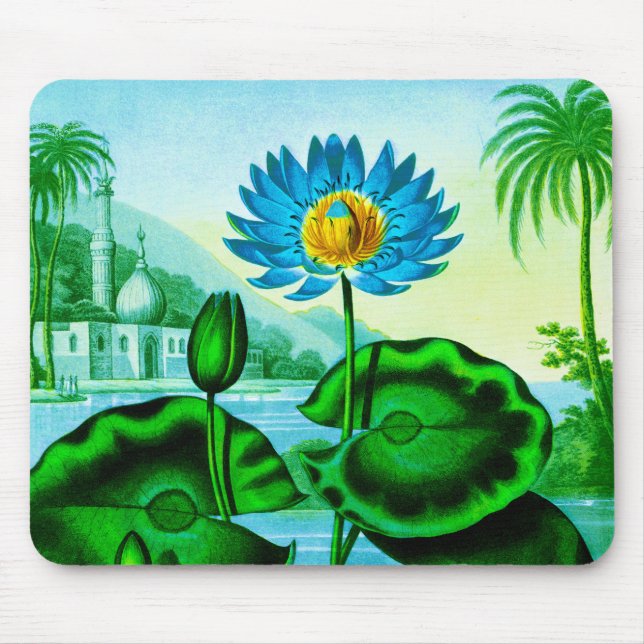 Tapis De Souris Illustration Blue Egyptian Water Lily / Lotus (Devant)