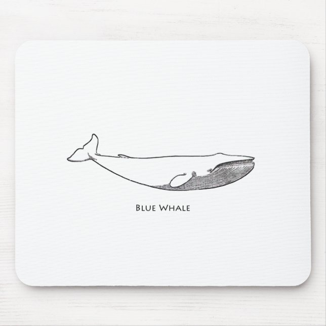 Tapis De Souris Illustration de baleine bleue (schéma) (Devant)
